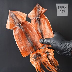 진한 풍미 동해안 초콜릿빛 마른오징어 국내산 건오징어 특품 5미 330g