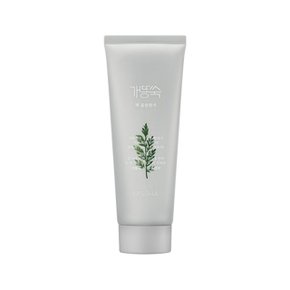 [미샤] NEW 개똥쑥 팩 폼 클렌저 150ml