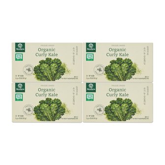 베네팜 유기농 곱슬케일 4박스(2g*25포/총100포) 동결건조