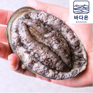 완도활전복 5-6미 1kg(마리당165g내외) [산소팩, 무료배송]