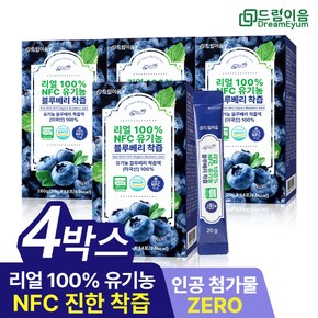 드림이음 리얼 100 NFC 유기농 블루베리 즙 착즙 미국산 원액 스틱 14포 4박스