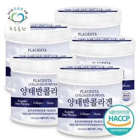 호주산 양태반 콜라겐 저분자 엘라스틴 분말 가루 haccp 인증 170gx5통