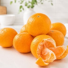 하우스 감귤 1.5kg/팩