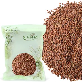 수입산 나복자 무씨 600g