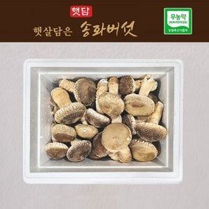  [3+1] 햇담송화버섯 고급형 상급 500g 1kg 농협에 납품하는 무농약 이천 햇살가득담은 송고버섯