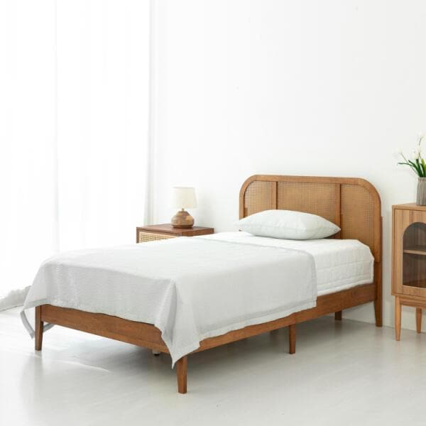 확대된 대표 IMAGE1
