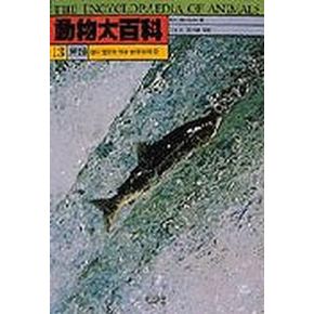 동물대백과 13(어류:상어.대구.농어.도미 등)