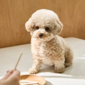 [이정현 Pick] 반려동물 강아지 글루코사민 곤약껌 J78N901000200
