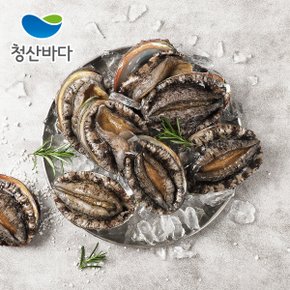 [9/11일 자정 주문마감][산지직송] 완도참전복[大] 11-12미 1.6kg(약 18-19마리)(선물포장가능)