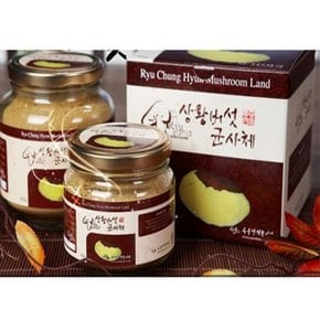 류충현약용버섯 상황버섯균사체 300g