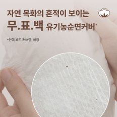 좋은느낌 유기농 무표백 입는오버나이트 중/대형 생리대 8매x6팩