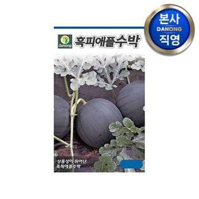 흑피 애플수박 씨앗 5립 . 미니 작은 고당도 흑 설탕 꿀 수박 파종 씨 종자