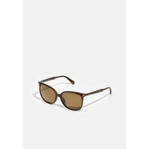 4953447 Polaroid Sunglasses - havana