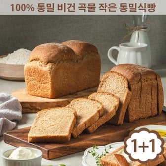 아침에좋은빵 아침에 좋은빵 / (1+1) 100% 통밀빵 고단백 작은통밀식빵 630g