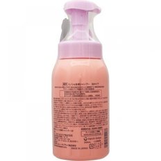 다이이치 산쿄 헬스케어 미논 전신 샴푸 펌프 바디 500mL 폼 타입