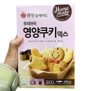 큐원 웰빙 영양쿠키믹스 250G x 2개 e84453