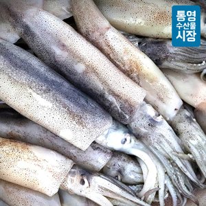 통영수산물시장 원양산 생생오징어 1kg / 10미내외