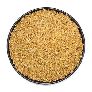 자연초 호라산밀 호라산 밀 1kg 고대쌀 고대밀 터키산