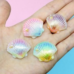 아트박스/와인앤쿡 오로라 컬러 조개 장식품