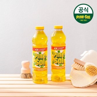  파인솔 다목적 세정제 레몬 828ml 2개 세트