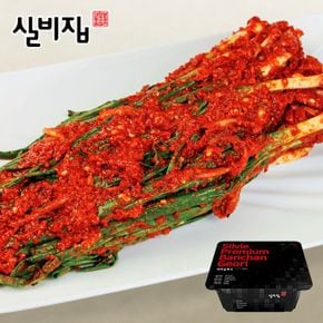 [미미의밥상] 선화동 실비집 매운 실비김치 파김치 1kg[33003362]