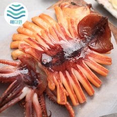 [국내산][해다원]해를품은 반건조오징어 왕특대3미(600g내외)