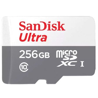  생활은 Ultra microSDXC UHS-I 카드 QUNR 256GB (WE94ABA)