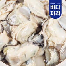 통영 산지직송 당일손질 제철 생굴 1kg 싱싱한 깐굴