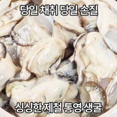 통영 산지직송 당일손질 제철 생굴 1kg 싱싱한 깐굴