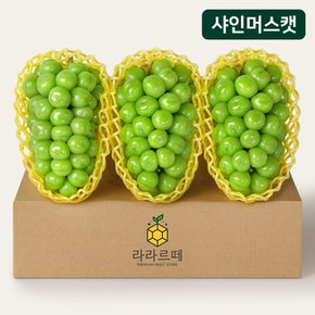 아삭하고 달콤한 샤인머스켓 3입 (개당 650g 이상)