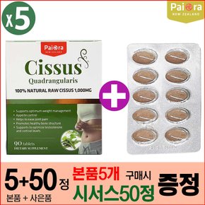 (5개) 뉴질랜드 파이오라 시서스 1000mg 90정 인도산 시저스 추출물 Cissus