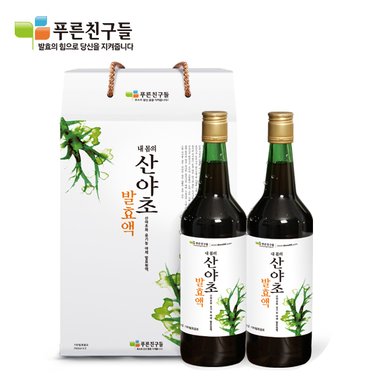 내몸의 산야초 발효액(720ml2병2세트)