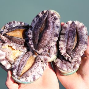 산지직송 싱싱한 국내산 완도 활 전복 1kg(13-14미)