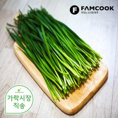 팸쿡 가락시장직송 호부추(중국부추) 1단
