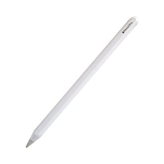 APPLE 2024 신형 애플 펜슬 프로 Apple Pencil Pro 정품