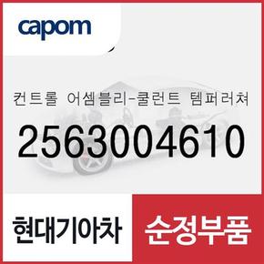 컨트롤-쿨런트 템퍼러쳐 (2563004610) 캐스퍼, 올뉴 모닝