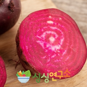 [제주 우수농산물인증] 특품 비트 3kg