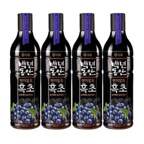 샘표 백년동한 현미발효 흑초 블랙베리 블루베리 900ml x 4개