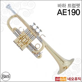 트럼펫 Bach Trumpet AE190 / AE-190 Eb 트럼팻