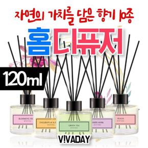 HJ 더허브샵 바이향 홈디퓨저 120ml