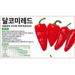 파프리카씨앗종자 달코미레드 (10립)