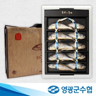 영광군수협 [명절 후 배송][영광군수협]법성포 영광 굴비 오가 선물세트 1.1kg(10미) / 부직포가방 포장