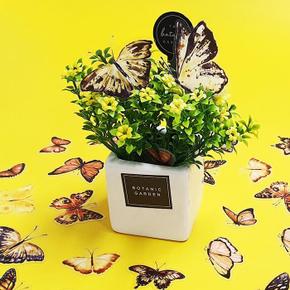 데코스티커 노랑나비 포인트 인테리어 스티커 40P (S21503755)