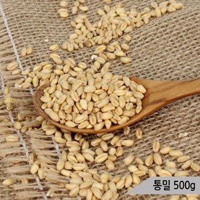 건강알곡 통밀 500g 앵무새 햄스터 소동물 간식 사료