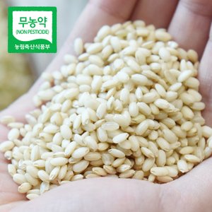 친환경팔도 [산지직송] 산청 무농약 찰현미 10kg