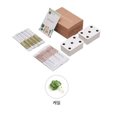 [공식] LG 틔운 미니용 씨앗키트 패키지 LPM28 (케일)