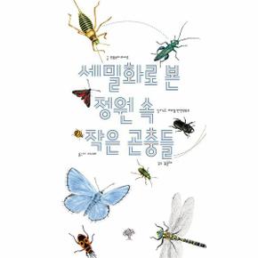 세밀화로 본 정원 속 작은 곤충들