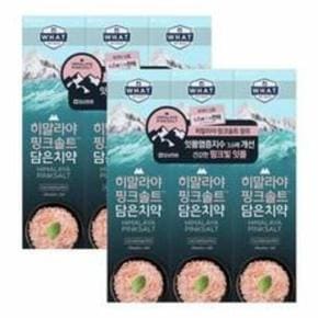 히말라야 핑크솔트 담은 치약 튜브형 아이스, 100g, 6개 11개