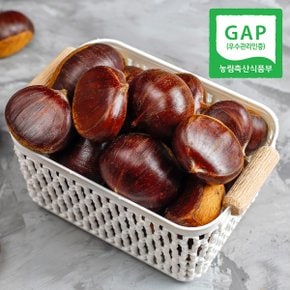 [GAP인증] 산지직송 충남 공주 정안 알밤 4kg(대)