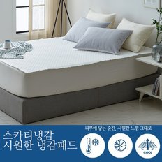 [파주점] [파주점] [코지네스트] 스카티냉감 시원한 냉감패드 Q